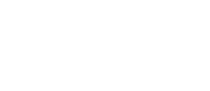ДЕ ТИ Project Logo